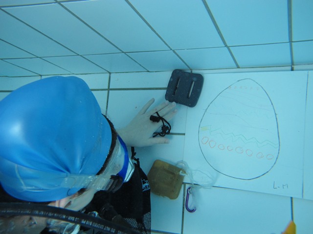 Chasse aux oeufs 2018 4